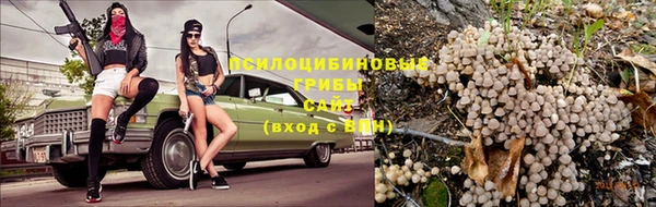 твердый Армянск