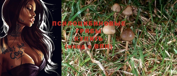 марки nbome Аркадак