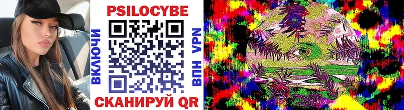 Псилоцибиновые грибы мицелий  мега как войти  Лабытнанги  где купить наркоту 